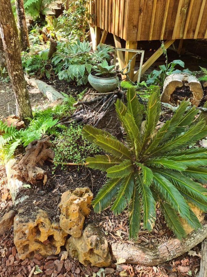 Camping Aux Couleurs Du Ferret Lege-Cap-Ferret Ngoại thất bức ảnh