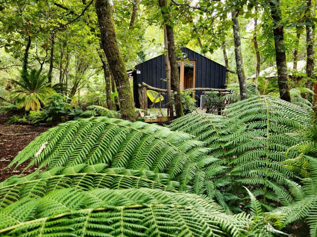 Camping Aux Couleurs Du Ferret Lege-Cap-Ferret Ngoại thất bức ảnh