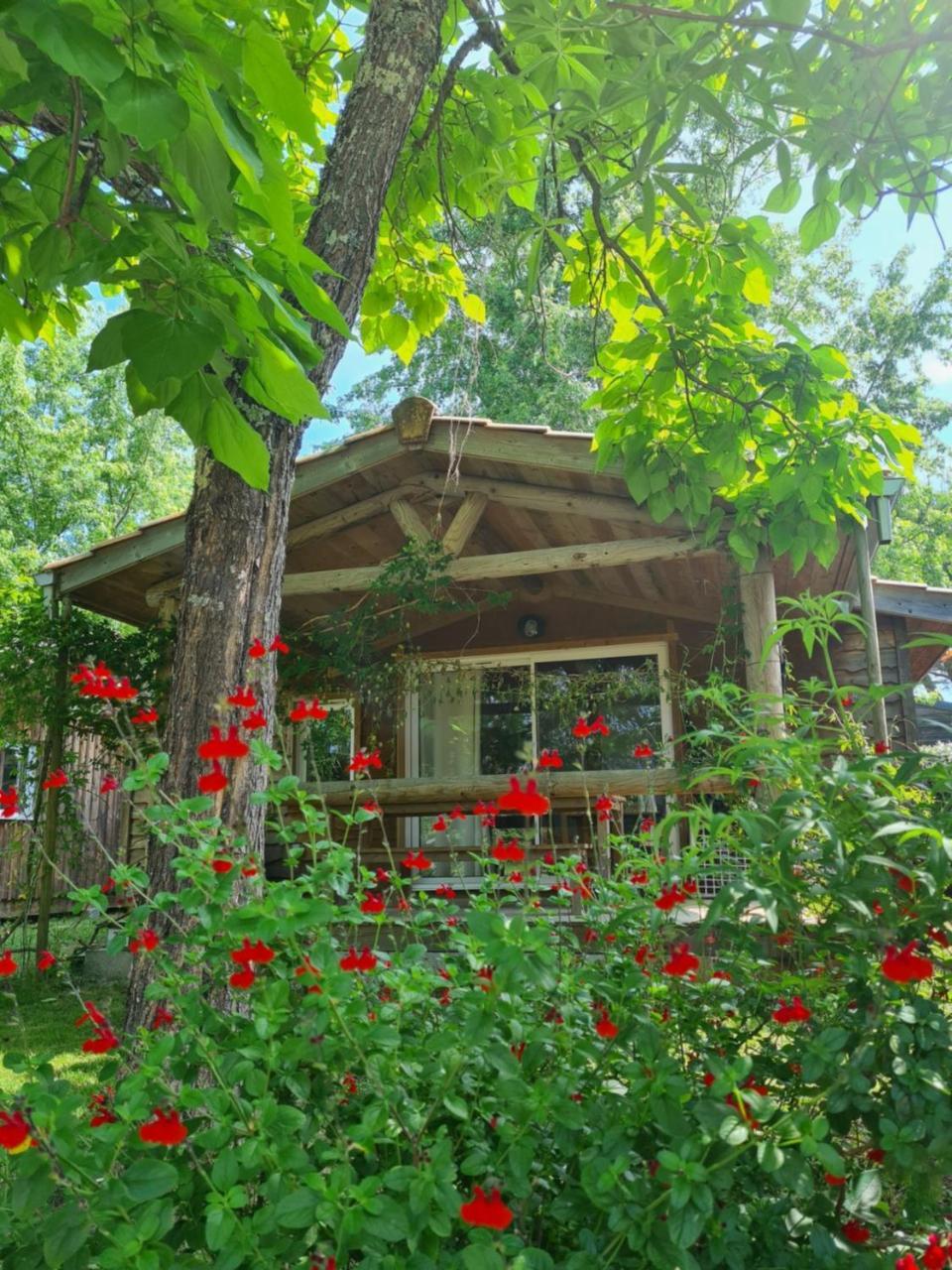 Camping Aux Couleurs Du Ferret Lege-Cap-Ferret Ngoại thất bức ảnh