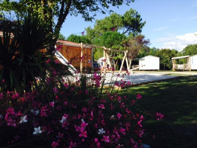 Camping Aux Couleurs Du Ferret Lege-Cap-Ferret Ngoại thất bức ảnh